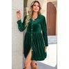image:imageRVivimos Womens Fall Winter Velvet Button Down Mini Dress 2026 Long Sleeve Casual Swing Flowy Shirt DressDark Green