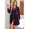 image:imageRVivimos Womens Fall Winter Velvet Button Down Mini Dress 2026 Long Sleeve Casual Swing Flowy Shirt DressDark Purple