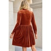 image:imageRVivimos Womens Fall Winter Velvet Button Down Mini Dress 2026 Long Sleeve Casual Swing Flowy Shirt DressRust Brown