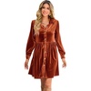 image:imageRVivimos Womens Fall Winter Velvet Button Down Mini Dress 2026 Long Sleeve Casual Swing Flowy Shirt DressRust Brown